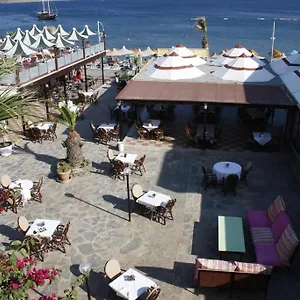 Hotel Amfora, Ortakentyahşi